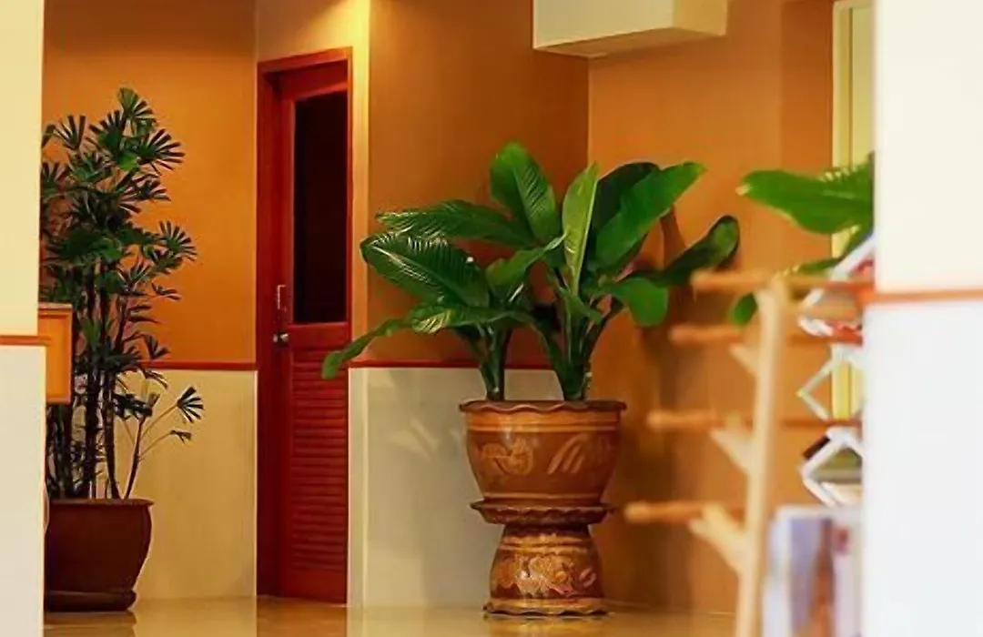 Cozy Villa-1